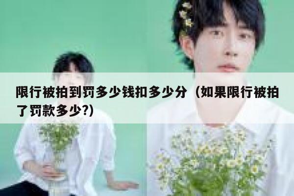 限行被拍到罚多少钱扣多少分（如果限行被拍了罚款多少?） 第1张