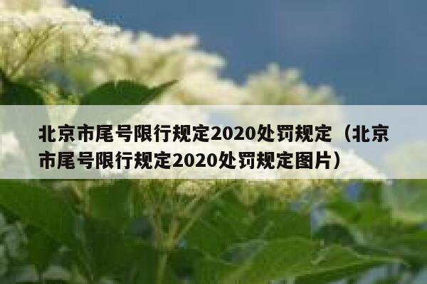 北京市尾号限行规定2020处罚规定(北京市尾号限行规定2020处罚规定图片) 第1张 北京市尾号限行规定2020处罚规定(北京市尾号限行规定2020处罚规定图片) 第1张