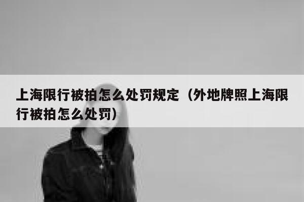 上海限行被拍怎么处罚规定(外地牌照上海限行被拍怎么处罚) 第1张 上海限行被拍怎么处罚规定(外地牌照上海限行被拍怎么处罚) 第1张