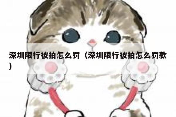 深圳限行被拍怎么罚（深圳限行被拍怎么罚款） 第1张