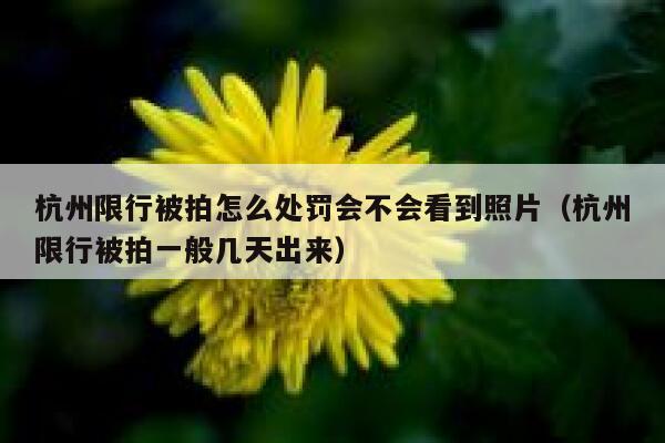 杭州限行被拍怎么处罚会不会看到照片（杭州限行被拍一般几天出来） 第1张