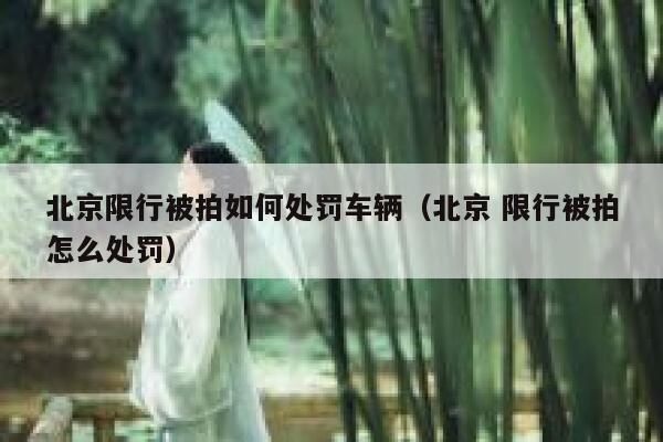 北京限行被拍如何处罚车辆(北京 限行被拍怎么处罚) 第1张 北京限行被拍如何处罚车辆(北京 限行被拍怎么处罚) 第1张