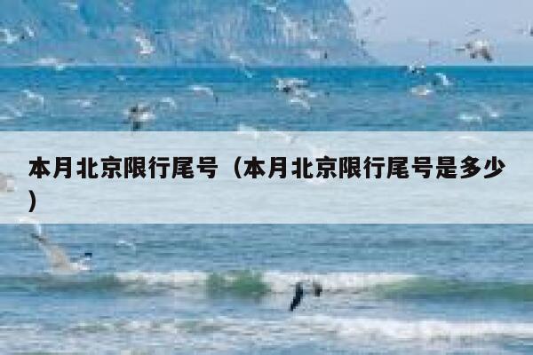 本月北京限行尾号(本月北京限行尾号是多少) 第1张 本月北京限行尾号(本月北京限行尾号是多少) 第1张