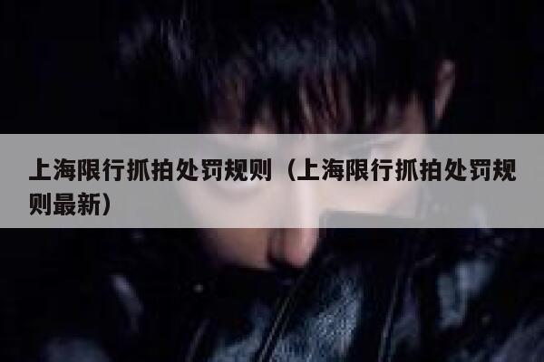 上海限行抓拍处罚规则(上海限行抓拍处罚规则最新) 第1张 上海限行抓拍处罚规则(上海限行抓拍处罚规则最新) 第1张