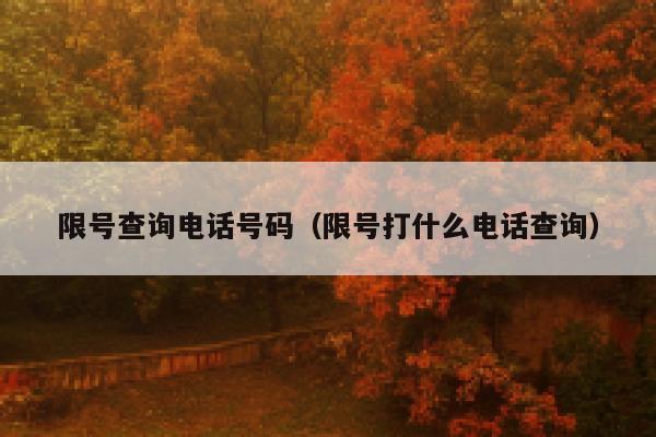 限号查询电话号码（限号打什么电话查询） 第1张