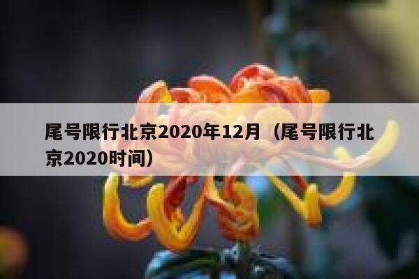 尾号限行北京2020年12月（尾号限行北京2020时间） 第1张