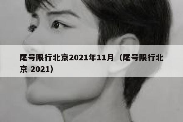 尾号限行北京2021年11月（尾号限行北京 2021） 第1张