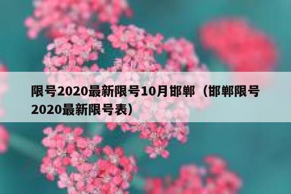 限号2020最新限号10月邯郸（邯郸限号2020最新限号表） 第1张