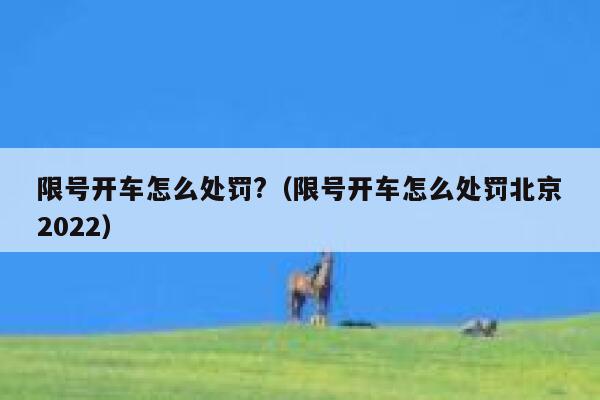 限号开车怎么处罚?(限号开车怎么处罚北京2022) 第1张 限号开车怎么处罚?(限号开车怎么处罚北京2022) 第1张