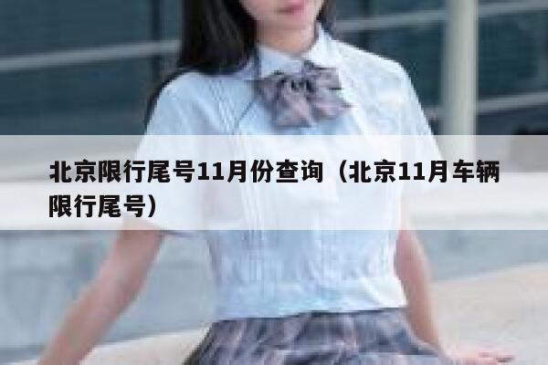 北京限行尾号11月份查询（北京11月车辆限行尾号） 第1张