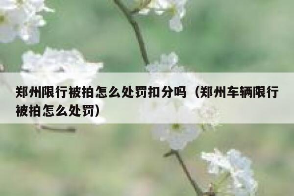 郑州限行被拍怎么处罚扣分吗（郑州车辆限行被拍怎么处罚） 第1张
