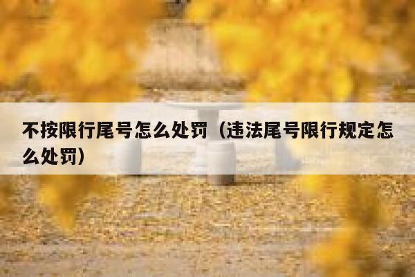 不按限行尾号怎么处罚(违法尾号限行规定怎么处罚) 第1张 不按限行尾号怎么处罚(违法尾号限行规定怎么处罚) 第1张