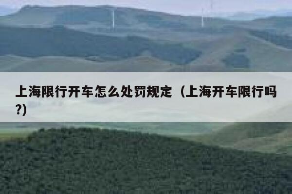 上海限行开车怎么处罚规定(上海开车限行吗?) 第1张 上海限行开车怎么处罚规定(上海开车限行吗?) 第1张