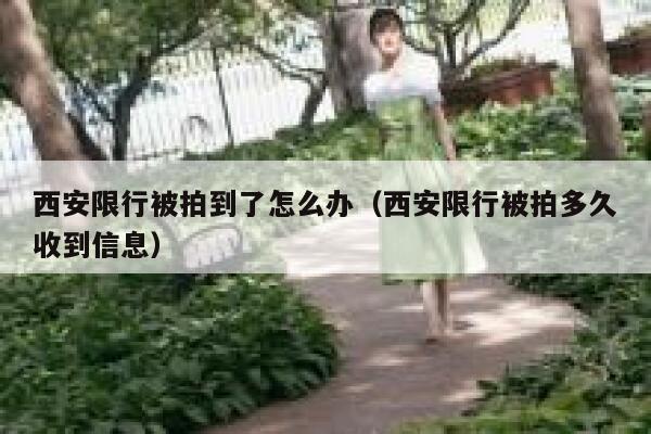 西安限行被拍到了怎么办（西安限行被拍多久收到信息） 第1张