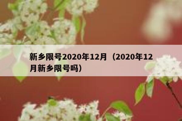 新乡限号2020年12月（2020年12月新乡限号吗） 第1张