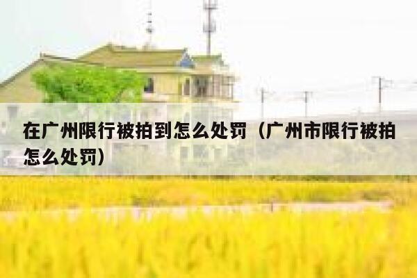 在广州限行被拍到怎么处罚（广州市限行被拍怎么处罚） 第1张