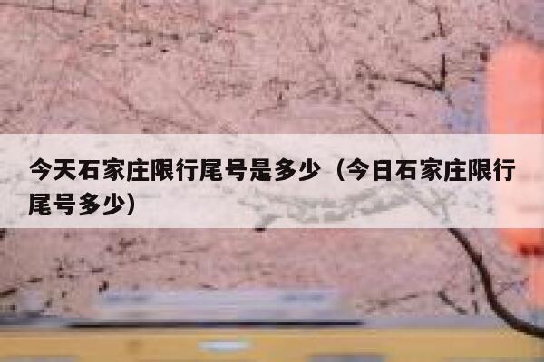 今天石家庄限行尾号是多少（今日石家庄限行尾号多少） 第1张