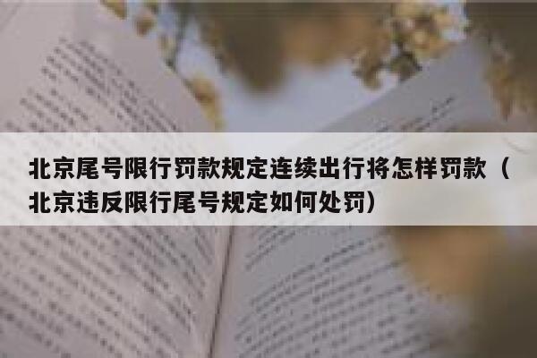 北京尾号限行罚款规定连续出行将怎样罚款(北京违反限行尾号规定如何处罚) 第1张 北京尾号限行罚款规定连续出行将怎样罚款(北京违反限行尾号规定如何处罚) 第1张