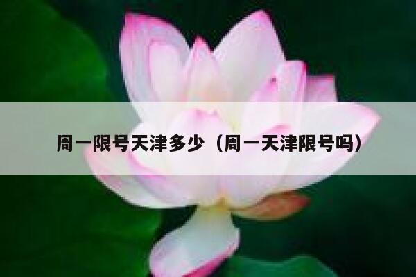 周一限号天津多少(周一天津限号吗) 第1张 周一限号天津多少(周一天津限号吗) 第1张