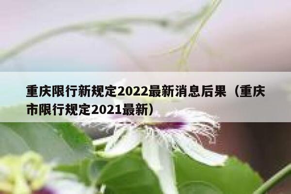 重庆限行新规定2022最新消息后果（重庆市限行规定2021最新） 第1张