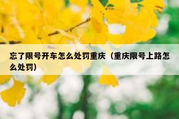 忘了限号开车怎么处罚重庆(重庆限号上路怎么处罚) 第1张 忘了限号开车怎么处罚重庆(重庆限号上路怎么处罚) 第1张