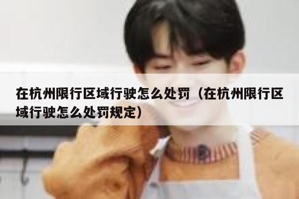 在杭州限行区域行驶怎么处罚（在杭州限行区域行驶怎么处罚规定） 第1张
