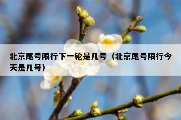 北京尾号限行下一轮是几号（北京尾号限行今天是几号） 第1张
