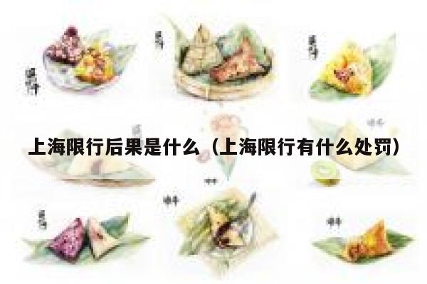 上海限行后果是什么（上海限行有什么处罚） 第1张