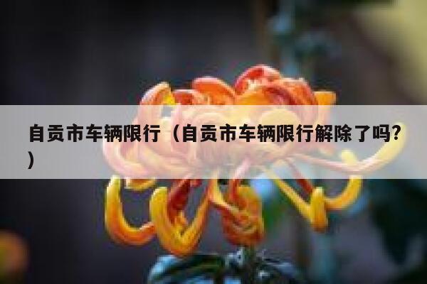 自贡市车辆限行(自贡市车辆限行解除了吗?) 第1张 自贡市车辆限行(自贡市车辆限行解除了吗?) 第1张