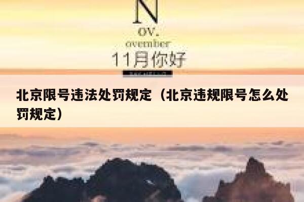 北京限号违法处罚规定(北京违规限号怎么处罚规定) 第1张 北京限号违法处罚规定(北京违规限号怎么处罚规定) 第1张