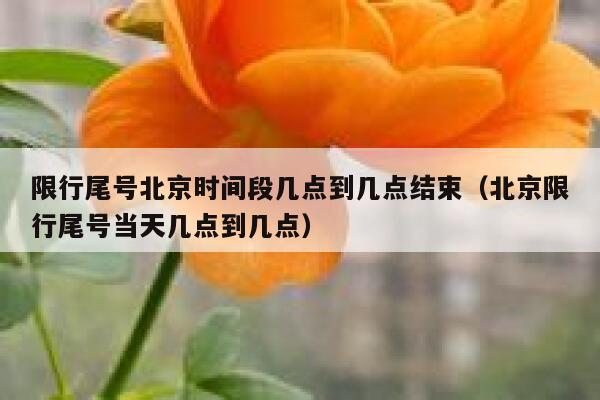 限行尾号北京时间段几点到几点结束(北京限行尾号当天几点到几点) 第1张 限行尾号北京时间段几点到几点结束(北京限行尾号当天几点到几点) 第1张