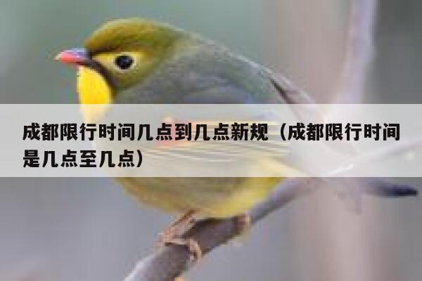 成都限行时间几点到几点新规(成都限行时间是几点至几点) 第1张 成都限行时间几点到几点新规(成都限行时间是几点至几点) 第1张