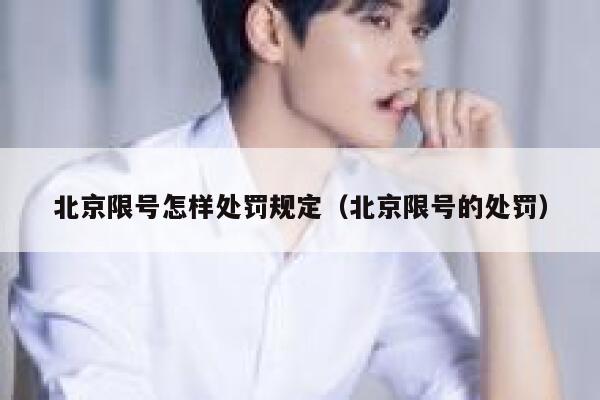 北京限号怎样处罚规定(北京限号的处罚) 第1张 北京限号怎样处罚规定(北京限号的处罚) 第1张