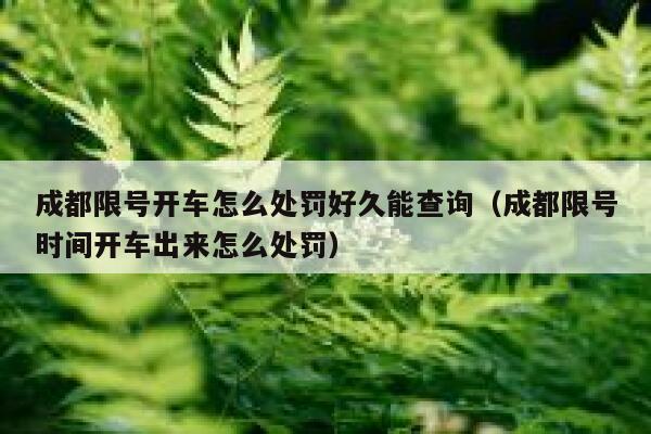 成都限号开车怎么处罚好久能查询（成都限号时间开车出来怎么处罚） 第1张