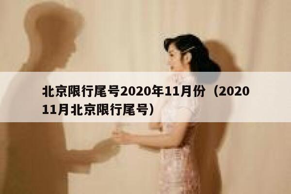 北京限行尾号2020年11月份(202011月北京限行尾号) 第1张 北京限行尾号2020年11月份(202011月北京限行尾号) 第1张