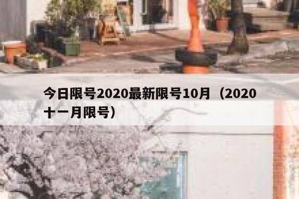 今日限号2020最新限号10月(2020十一月限号) 第1张 今日限号2020最新限号10月(2020十一月限号) 第1张