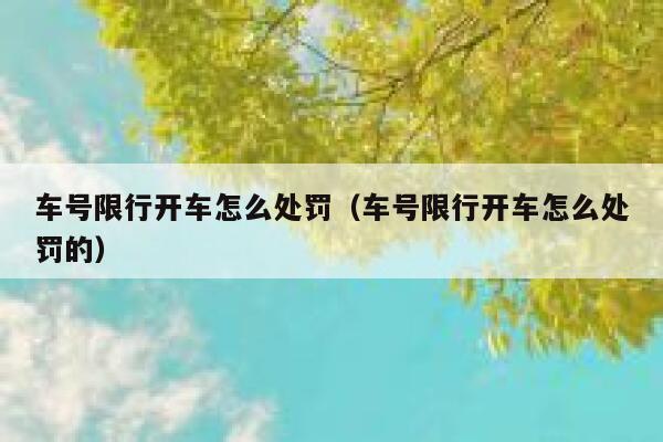 车号限行开车怎么处罚(车号限行开车怎么处罚的) 第1张 车号限行开车怎么处罚(车号限行开车怎么处罚的) 第1张