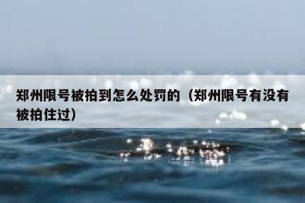 郑州限号被拍到怎么处罚的(郑州限号有没有被拍住过) 第1张 郑州限号被拍到怎么处罚的(郑州限号有没有被拍住过) 第1张
