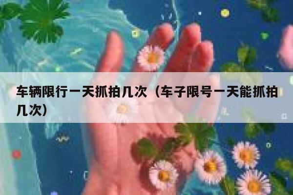 车辆限行一天抓拍几次（车子限号一天能抓拍几次） 第1张
