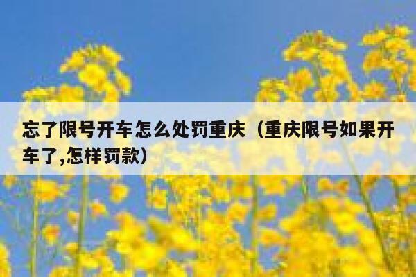 忘了限号开车怎么处罚重庆(重庆限号如果开车了,怎样罚款) 第1张 忘了限号开车怎么处罚重庆(重庆限号如果开车了,怎样罚款) 第1张