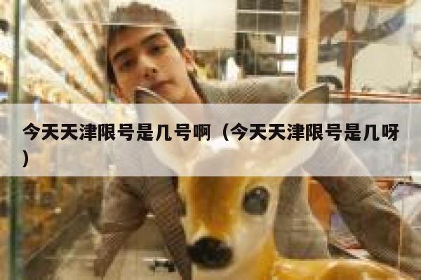 今天天津限号是几号啊（今天天津限号是几呀） 第1张