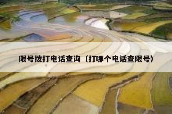 限号拨打电话查询（打哪个电话查限号） 第1张