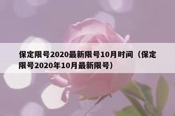 保定限号2020最新限号10月时间(保定限号2020年10月最新限号) 第1张 保定限号2020最新限号10月时间(保定限号2020年10月最新限号) 第1张