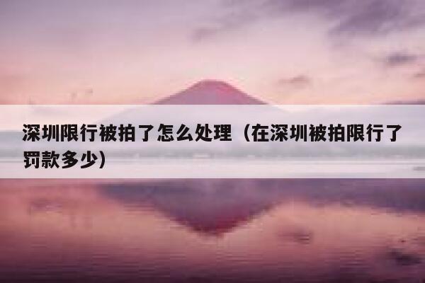 深圳限行被拍了怎么处理（在深圳被拍限行了罚款多少） 第1张