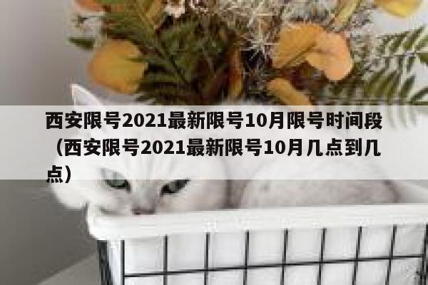 西安限号2021最新限号10月限号时间段（西安限号2021最新限号10月几点到几点） 第1张
