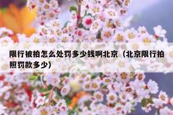 限行被拍怎么处罚多少钱啊北京（北京限行拍照罚款多少） 第1张