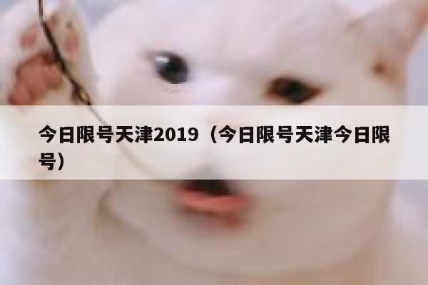 今日限号天津2019（今日限号天津今日限号） 第1张