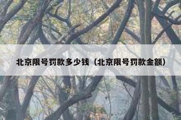 北京限号罚款多少钱（北京限号罚款金额） 第1张
