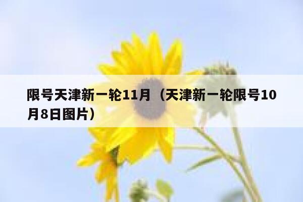 限号天津新一轮11月（天津新一轮限号10月8日图片） 第1张