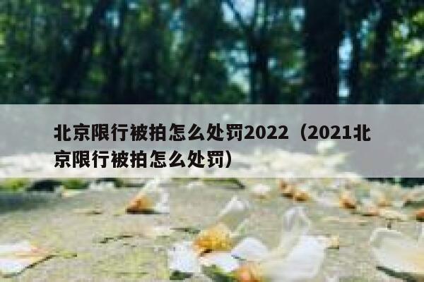 北京限行被拍怎么处罚2022（2021北京限行被拍怎么处罚） 第1张